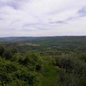 Izlet Istra 2019 11